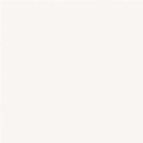 1002-21 340 - Studio White 5' x 12'
