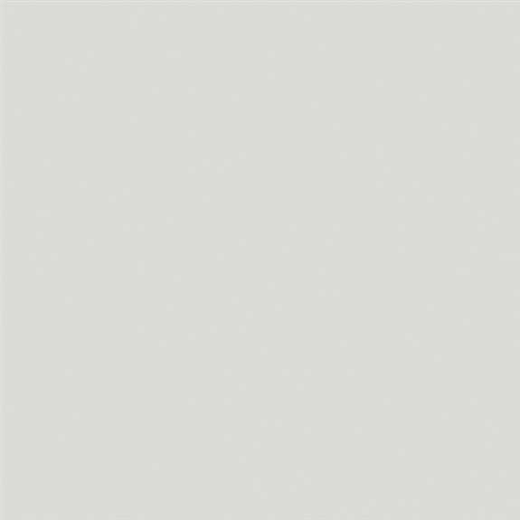 1004-21 340 - Coastal Grey - 4' x 8'