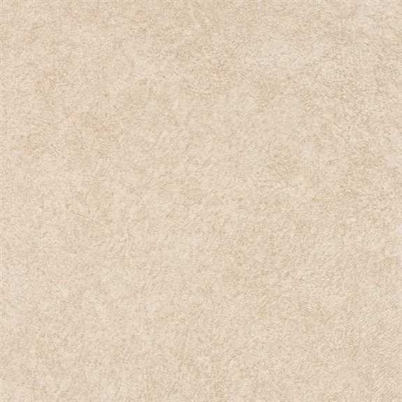 2" Edging (Wilsonart) 2932-60 Unglued x 12' TEMP