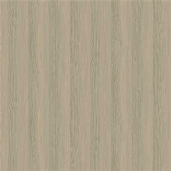 5021-31 340 - Mira Walnut - 4' x 8'