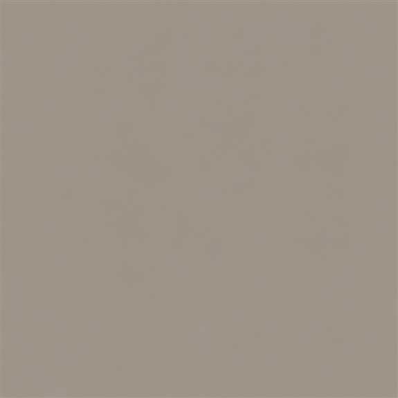 7003-SM 740 - Dune - 4' x 8'