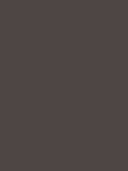 2909 - Gris Graphite Pol - Polaris Finish