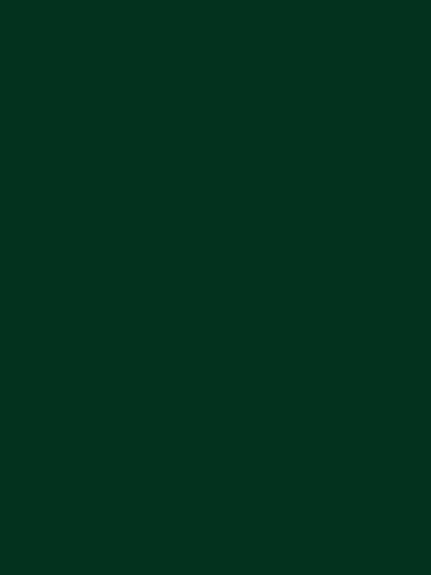 450 - Verde Lauro - Sei Finish