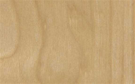 5/8 White Birch Prefinished Preglued FB 250 Roll