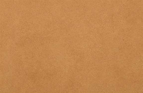 ES2002T NF39 30x48 Honeytone Essence