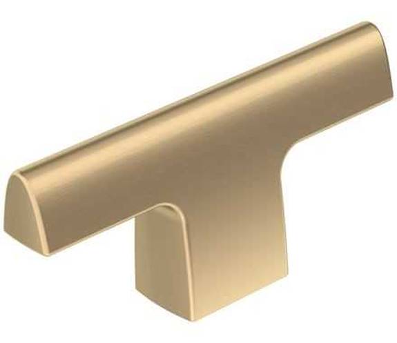 BP-55361-BBZ Riva 2-1/2" Knob - Golden Champagne