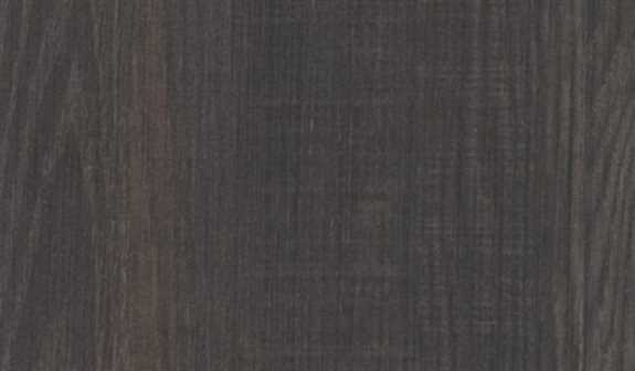 WO740IW F39 Morchella Hunt 48" x 96"