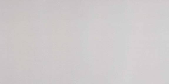 PFA60SD F39 Negiotating in Geneva 4' x 10'