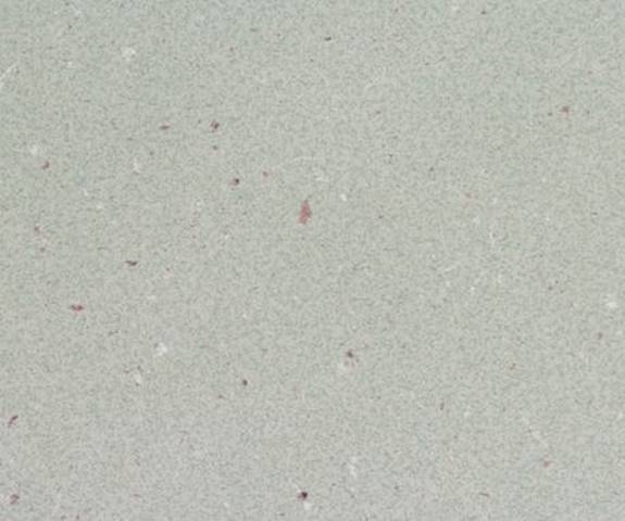 PR5001 NF39 30x48 Papier Lune