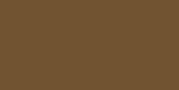 S 2115GV NF28 Cocoa Bean 4' x 8'