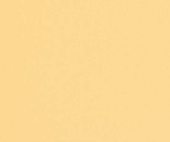 S 4023T NG48 36X60 California