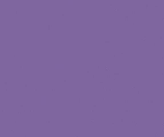 S9001T NF39 48x96 Island Orchid