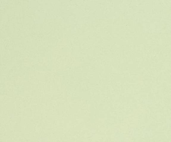 SG0003T NG48 24X96 Honeydo