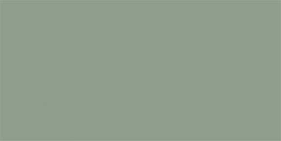 SV7600T NF39 60 x 120 Flourish Green