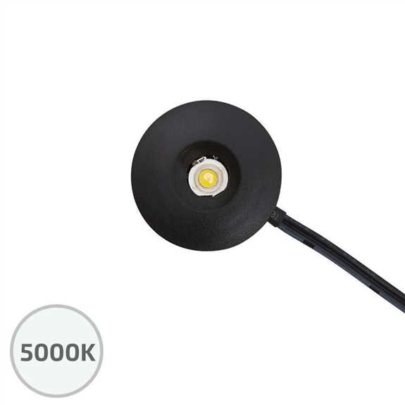 12VDC 1W Mini Spotlight Led Black Finish 5000K