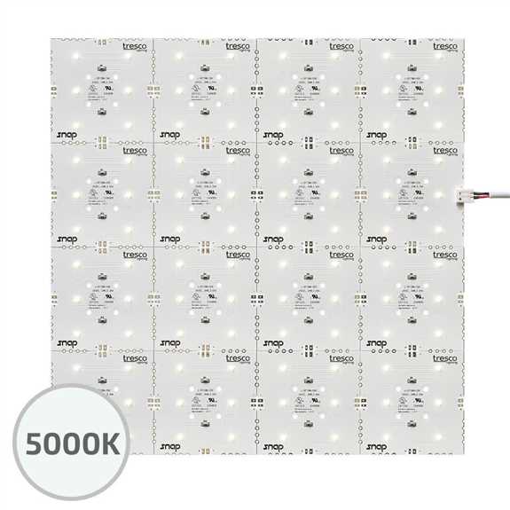 24VDC 15W 1FT Square Snap Panel 5000K